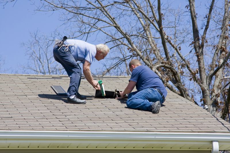 Skilled Roofing Experts