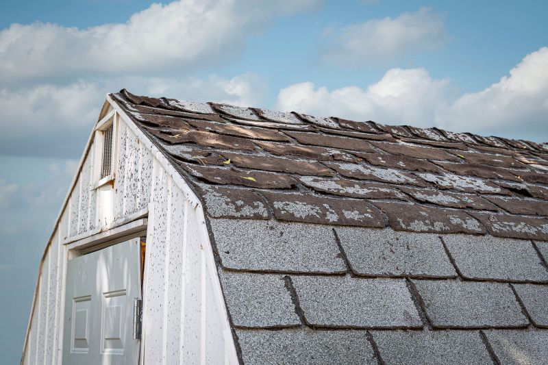 Reliable Roof Maintenance