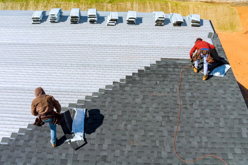 Professional Roofing Service