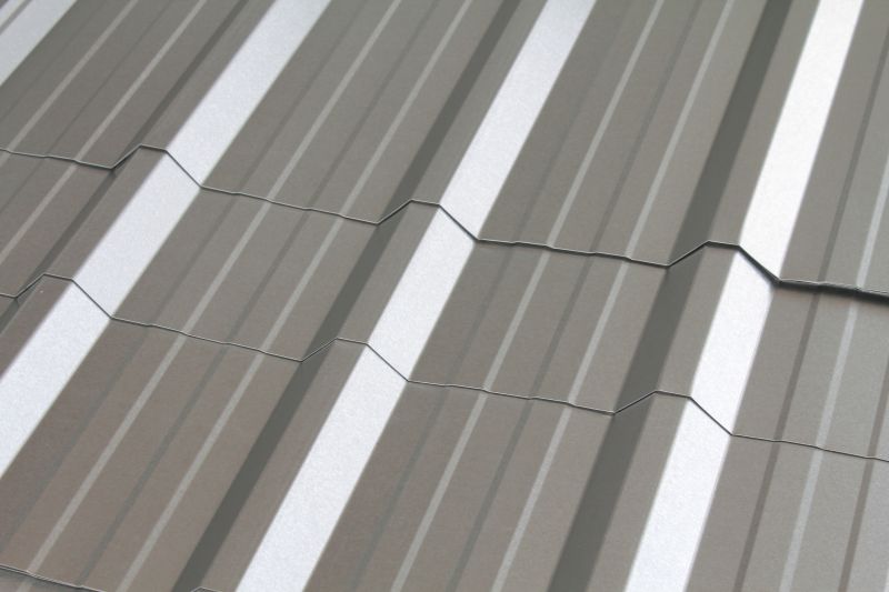 Metal Roof Panel Replacement